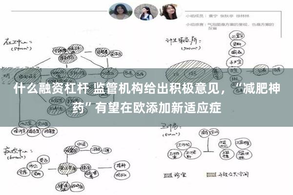 什么融资杠杆 监管机构给出积极意见，“减肥神药”有望在欧添加新适应症