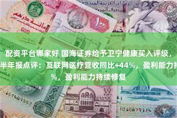 配资平台哪家好 国海证券给予卫宁健康买入评级，2024年半年报点评：互联网医疗营收同比+44%，盈利能力持续修复