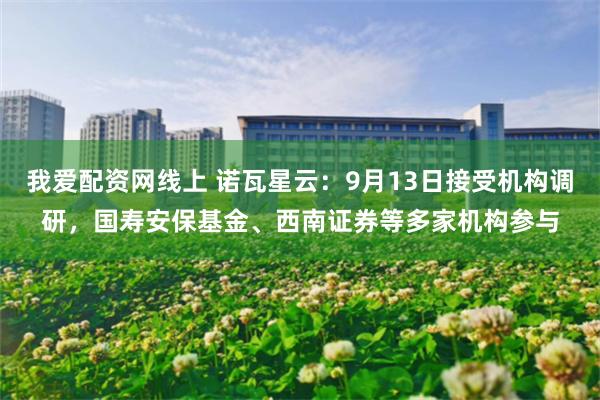 我爱配资网线上 诺瓦星云：9月13日接受机构调研，国寿安保基金、西南证券等多家机构参与