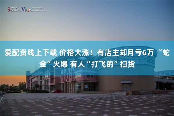 爱配资线上下载 价格大涨！有店主却月亏6万 “蛇金”火爆 有人“打飞的”扫货