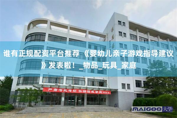 谁有正规配资平台推荐 《婴幼儿亲子游戏指导建议》发表啦！_物品_玩具_家庭